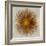 Bronze Sunburst I-Abby Young-Framed Art Print