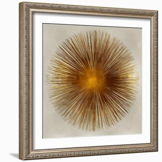 Bronze Sunburst I-Abby Young-Framed Art Print