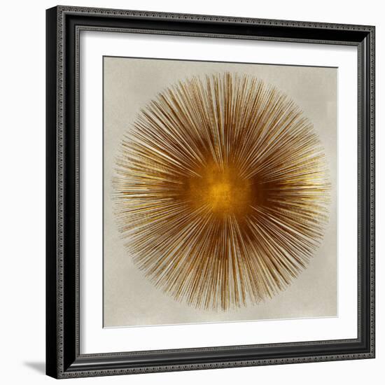 Bronze Sunburst I-Abby Young-Framed Art Print