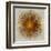 Bronze Sunburst I-Abby Young-Framed Art Print