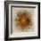 Bronze Sunburst I-Abby Young-Framed Art Print