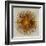 Bronze Sunburst I-Abby Young-Framed Art Print