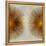 Bronze Sunburst II-Abby Young-Framed Stretched Canvas