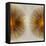 Bronze Sunburst II-Abby Young-Framed Stretched Canvas