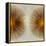 Bronze Sunburst II-Abby Young-Framed Stretched Canvas