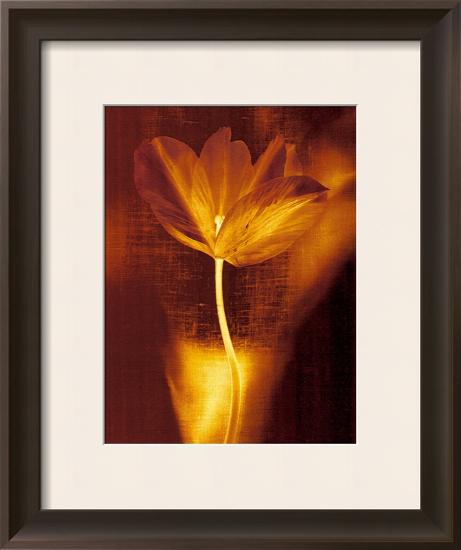 Bronze Tulip I-John Butler-Framed Art Print