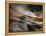 Bronze-Ursula Abresch-Framed Premier Image Canvas