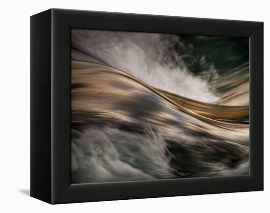 Bronze-Ursula Abresch-Framed Premier Image Canvas