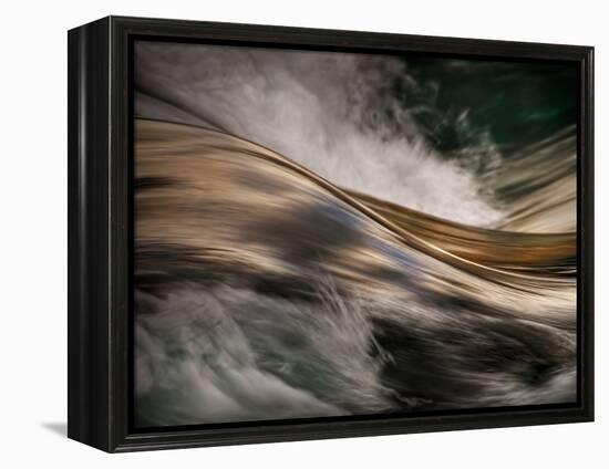 Bronze-Ursula Abresch-Framed Premier Image Canvas