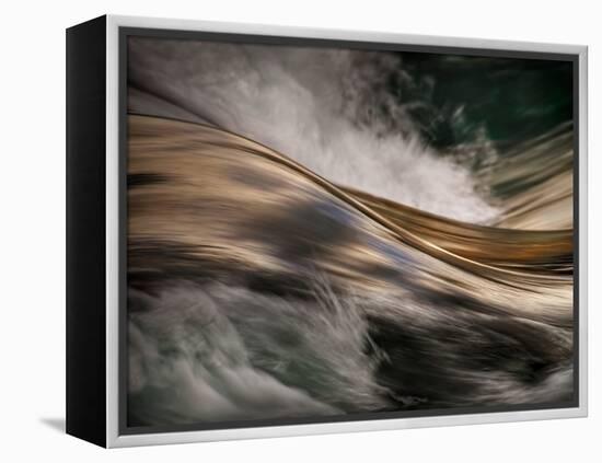 Bronze-Ursula Abresch-Framed Premier Image Canvas