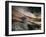 Bronze-Ursula Abresch-Framed Photographic Print