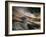 Bronze-Ursula Abresch-Framed Photographic Print