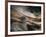 Bronze-Ursula Abresch-Framed Photographic Print