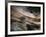 Bronze-Ursula Abresch-Framed Photographic Print