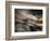 Bronze-Ursula Abresch-Framed Photographic Print