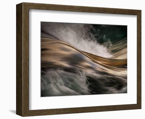 Bronze-Ursula Abresch-Framed Photographic Print