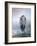 Brooding Heron-Don Li-Leger-Framed Art Print