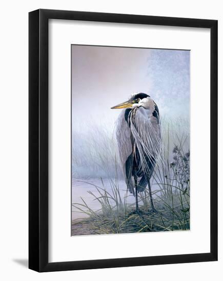 Brooding Heron-Don Li-Leger-Framed Art Print