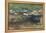 Brook and Meadow, c.1907-John Singer Sargent-Framed Premier Image Canvas
