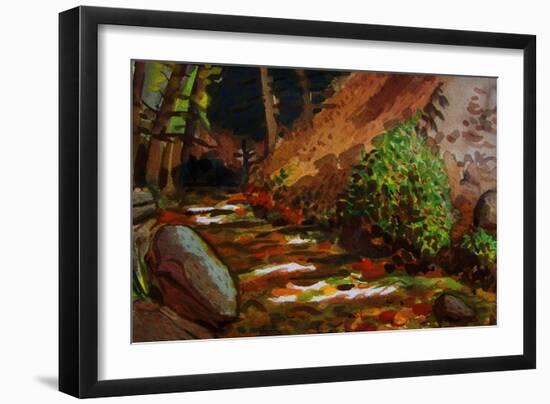 Brook at Kit Carson State Forest-John Newcomb-Framed Giclee Print