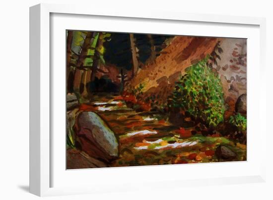 Brook at Kit Carson State Forest-John Newcomb-Framed Giclee Print
