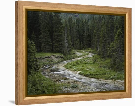 Brook in the Vallesinella Valley, Brenta Adamello Nature Reserve, Trentino-Rainer Mirau-Framed Premier Image Canvas