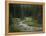 Brook in the Vallesinella Valley, Brenta Adamello Nature Reserve, Trentino-Rainer Mirau-Framed Premier Image Canvas