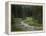 Brook in the Vallesinella Valley, Brenta Adamello Nature Reserve, Trentino-Rainer Mirau-Framed Premier Image Canvas