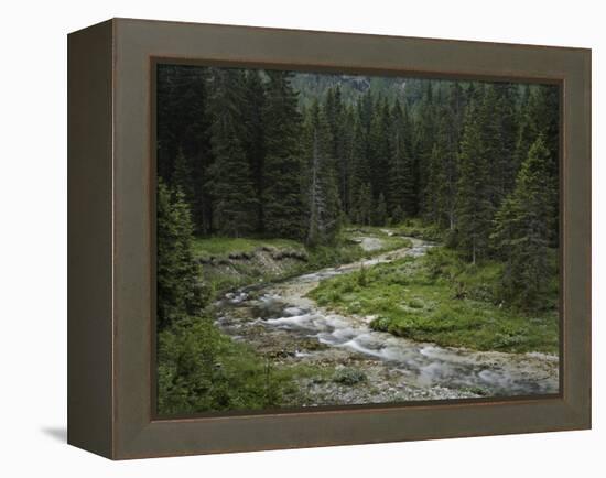 Brook in the Vallesinella Valley, Brenta Adamello Nature Reserve, Trentino-Rainer Mirau-Framed Premier Image Canvas