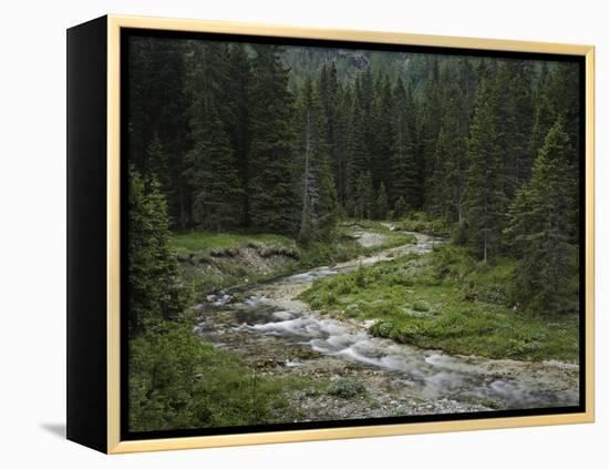 Brook in the Vallesinella Valley, Brenta Adamello Nature Reserve, Trentino-Rainer Mirau-Framed Premier Image Canvas