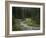 Brook in the Vallesinella Valley, Brenta Adamello Nature Reserve, Trentino-Rainer Mirau-Framed Photographic Print