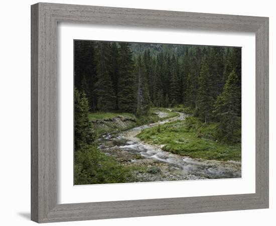 Brook in the Vallesinella Valley, Brenta Adamello Nature Reserve, Trentino-Rainer Mirau-Framed Photographic Print