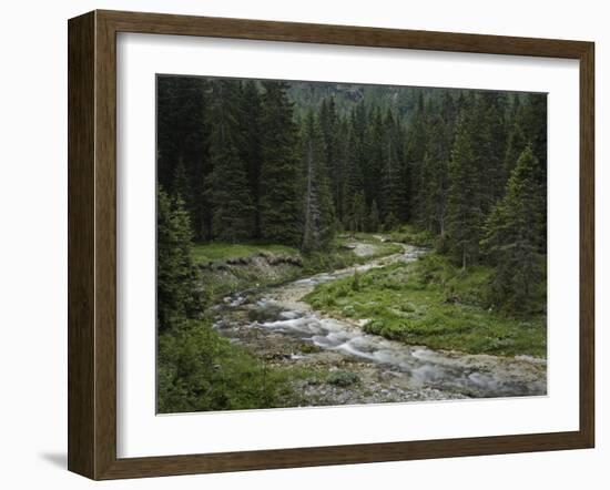 Brook in the Vallesinella Valley, Brenta Adamello Nature Reserve, Trentino-Rainer Mirau-Framed Photographic Print