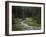 Brook in the Vallesinella Valley, Brenta Adamello Nature Reserve, Trentino-Rainer Mirau-Framed Photographic Print