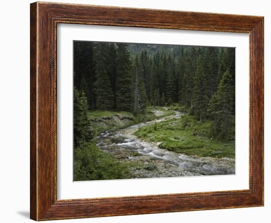 Brook in the Vallesinella Valley, Brenta Adamello Nature Reserve, Trentino-Rainer Mirau-Framed Photographic Print