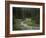 Brook in the Vallesinella Valley, Brenta Adamello Nature Reserve, Trentino-Rainer Mirau-Framed Photographic Print