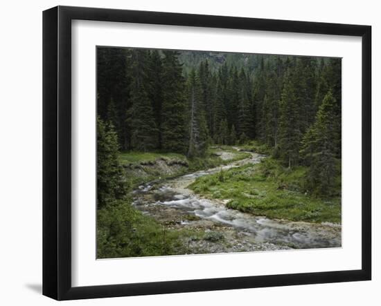 Brook in the Vallesinella Valley, Brenta Adamello Nature Reserve, Trentino-Rainer Mirau-Framed Photographic Print