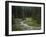 Brook in the Vallesinella Valley, Brenta Adamello Nature Reserve, Trentino-Rainer Mirau-Framed Photographic Print