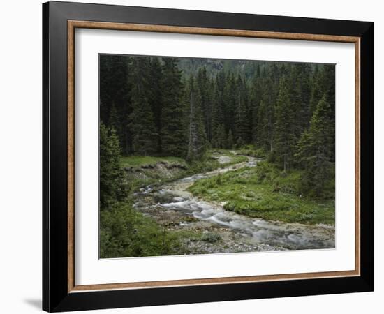 Brook in the Vallesinella Valley, Brenta Adamello Nature Reserve, Trentino-Rainer Mirau-Framed Photographic Print