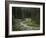 Brook in the Vallesinella Valley, Brenta Adamello Nature Reserve, Trentino-Rainer Mirau-Framed Photographic Print