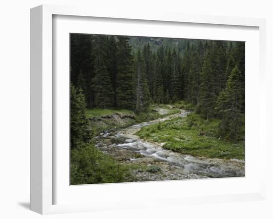 Brook in the Vallesinella Valley, Brenta Adamello Nature Reserve, Trentino-Rainer Mirau-Framed Photographic Print