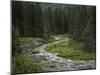 Brook in the Vallesinella Valley, Brenta Adamello Nature Reserve, Trentino-Rainer Mirau-Mounted Photographic Print