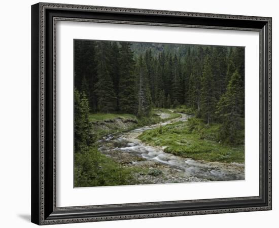 Brook in the Vallesinella Valley, Brenta Adamello Nature Reserve, Trentino-Rainer Mirau-Framed Photographic Print