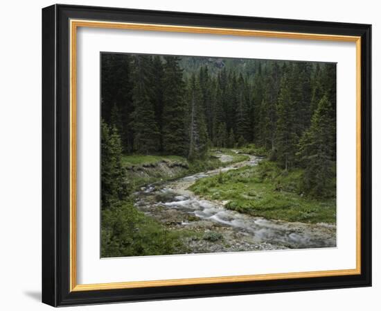 Brook in the Vallesinella Valley, Brenta Adamello Nature Reserve, Trentino-Rainer Mirau-Framed Photographic Print