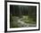 Brook in the Vallesinella Valley, Brenta Adamello Nature Reserve, Trentino-Rainer Mirau-Framed Photographic Print