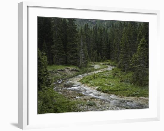 Brook in the Vallesinella Valley, Brenta Adamello Nature Reserve, Trentino-Rainer Mirau-Framed Photographic Print