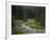 Brook in the Vallesinella Valley, Brenta Adamello Nature Reserve, Trentino-Rainer Mirau-Framed Photographic Print