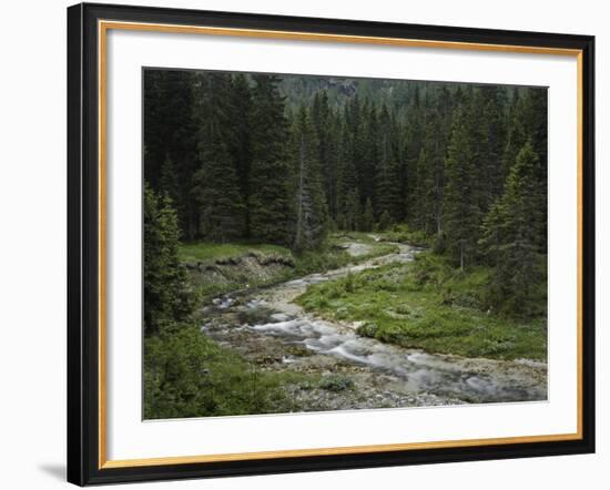 Brook in the Vallesinella Valley, Brenta Adamello Nature Reserve, Trentino-Rainer Mirau-Framed Photographic Print