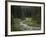 Brook in the Vallesinella Valley, Brenta Adamello Nature Reserve, Trentino-Rainer Mirau-Framed Photographic Print