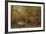 Brook in Woods-Albert Bierstadt-Framed Giclee Print